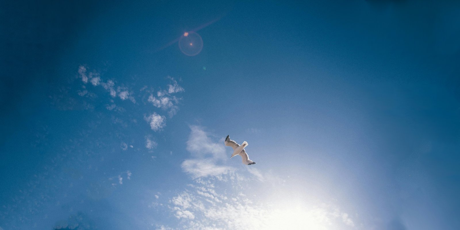 Coaching & Self Assessment